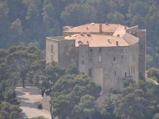 Chateau De Meyrargues מראה חיצוני תמונה